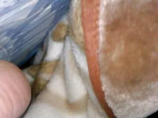 Tình dục, Nia Nacci phim set nhat phu de là một phóng